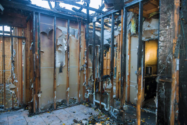 Professional Soot Cleanup technician working in Hardinsburg, KY